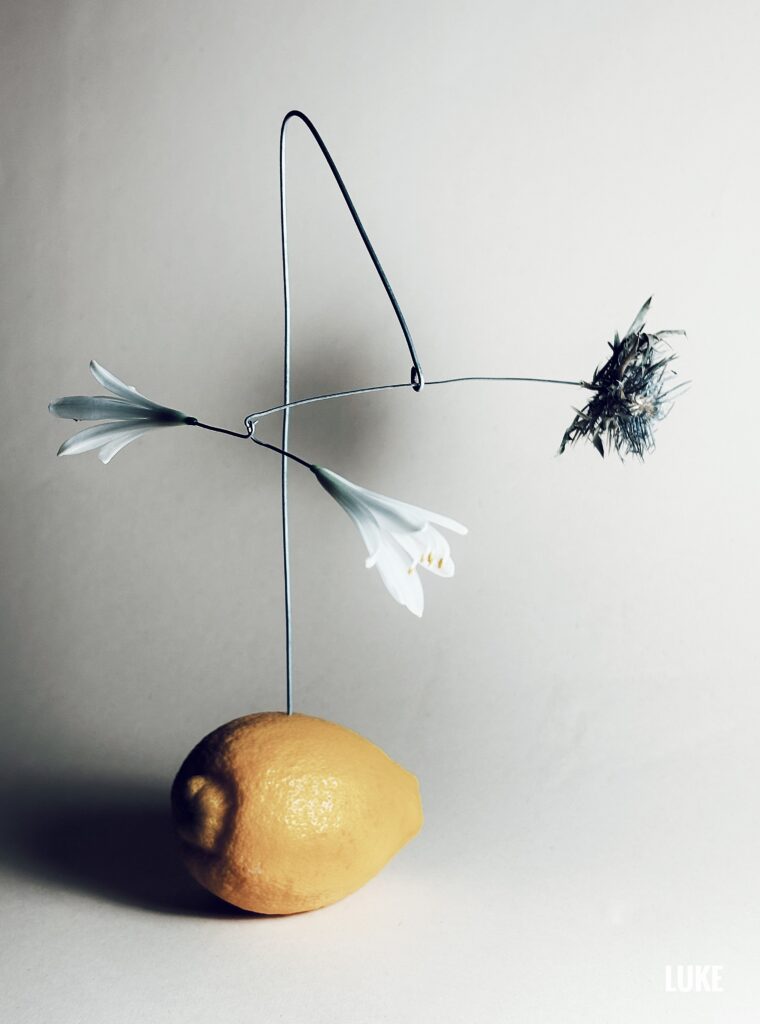image00015