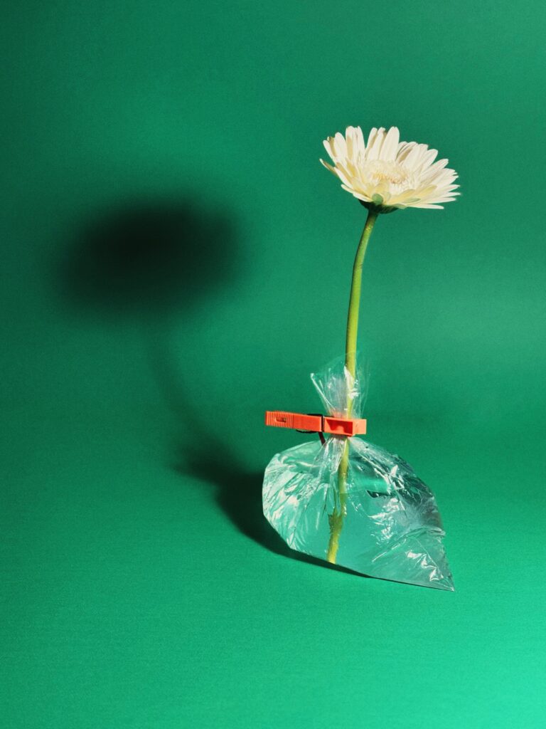 image00017