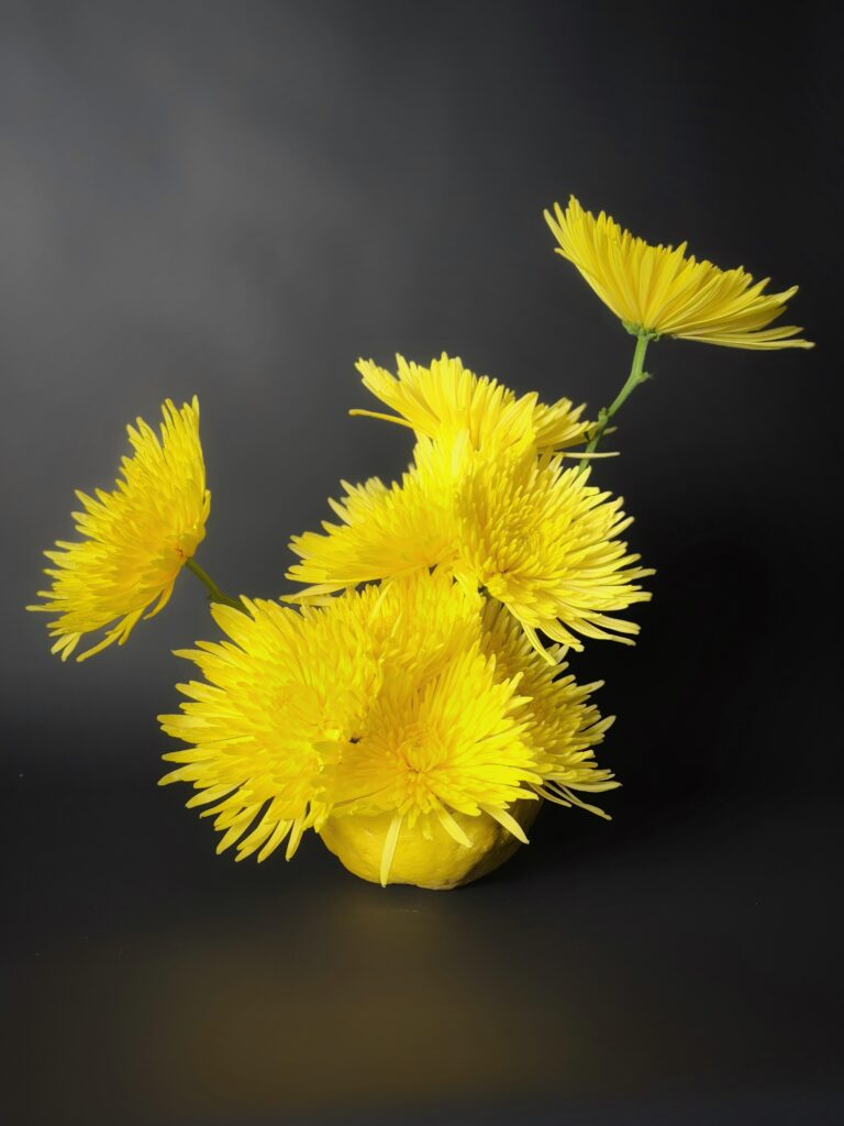 image00418
